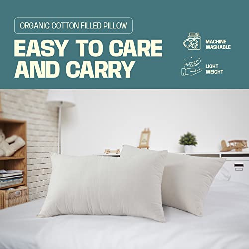 ( Pack of 2 ) Organic Cotton Pillow for Neck and Shoulder Pain (Copy)